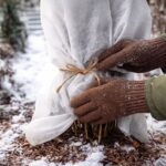 Zbliżenie na ręce w ogrodniczych rękawicach, które okrywają roślinę białą agrowłókniną, przygotowując ją na zimę