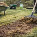 Regeneracja trawnika po zimie poprzez grabienie i usuwanie filcu z darni